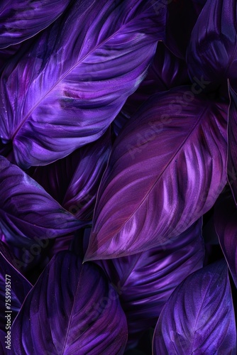Close up of purple leaves, perfect for nature backgrounds. © Fotograf