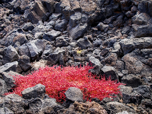 Timanfaya National Park is a national park in the Canary Islands