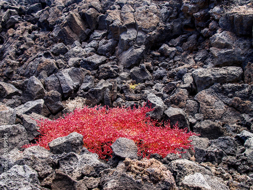 Timanfaya National Park is a national park in the Canary Islands