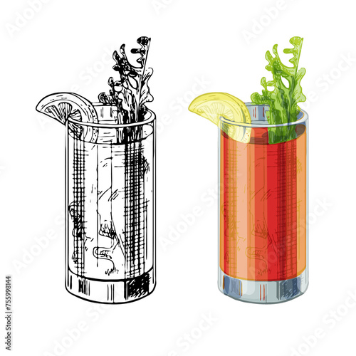 Bloody Mary cocktail. Vintage hatching vector illustration