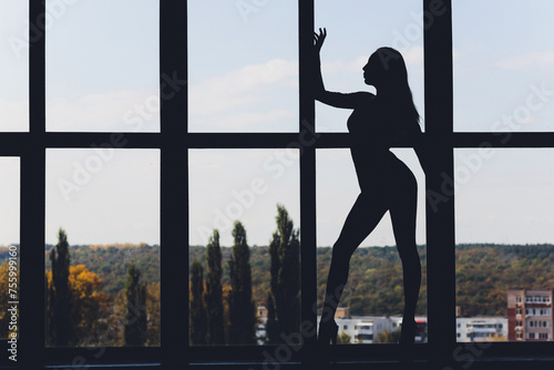 A silhouette of a woman doing yoga on background of windows with beautiful winter landscape with trees in the snow and sunlight, young yogi girl in warrior's position.