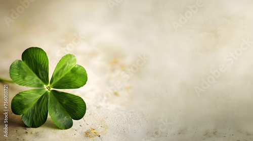 Lucky four leaf clover background, background for text and presentations, luck photo