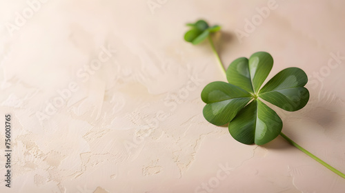 Lucky four leaf clover background, background for text and presentations, luck