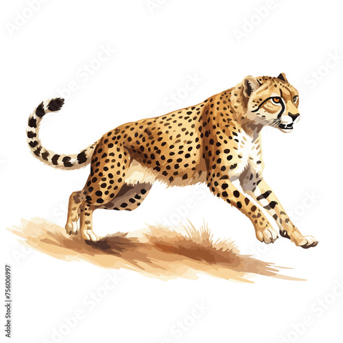 Fototapeta Naklejka Na Ścianę i Meble -  A sleek cheetah sprinting across