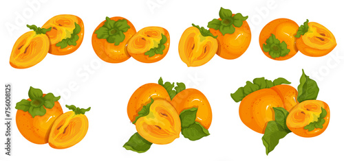 Set of juicy, ripe persimmon fruits and pieces of fruit.Vector graphics.