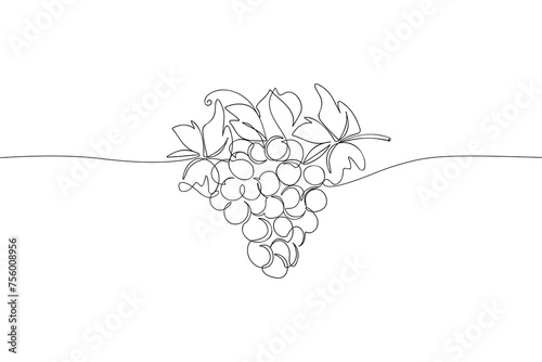Bunch of grapes continuous one line drawing. Abstract linear organic berries for wine logo design, minimalist vineyard symbol. Vector illustration