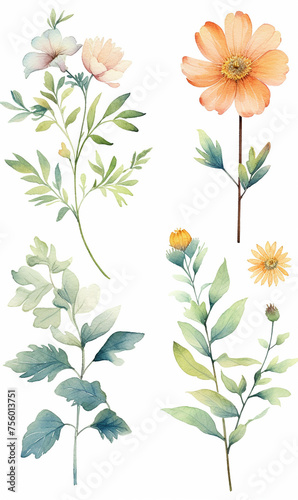 Collection of various watercolor flowers with stems and leaves.