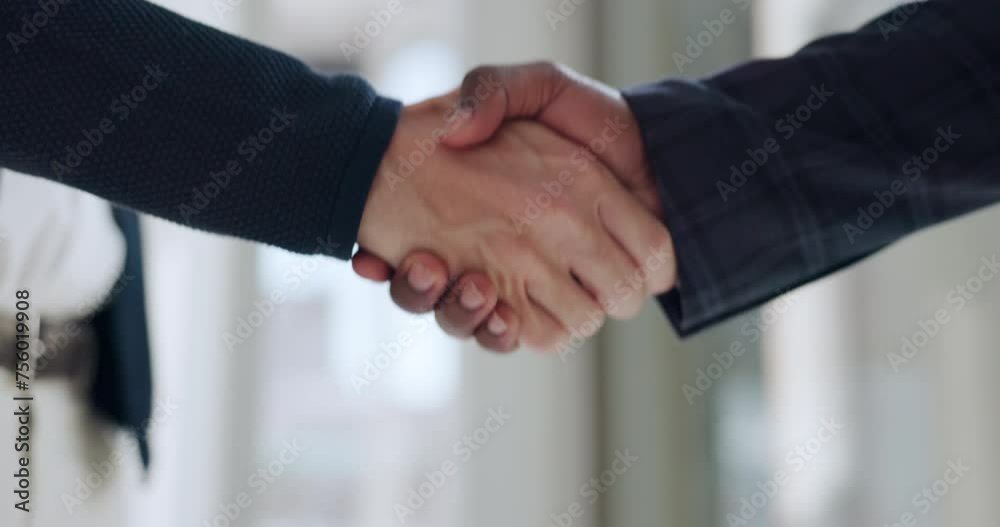 Handshake, agreement and business people hands with teamwork, success and networking in office. B2b, deal and professional employee with thank you, greeting and recruitment for onboarding at company