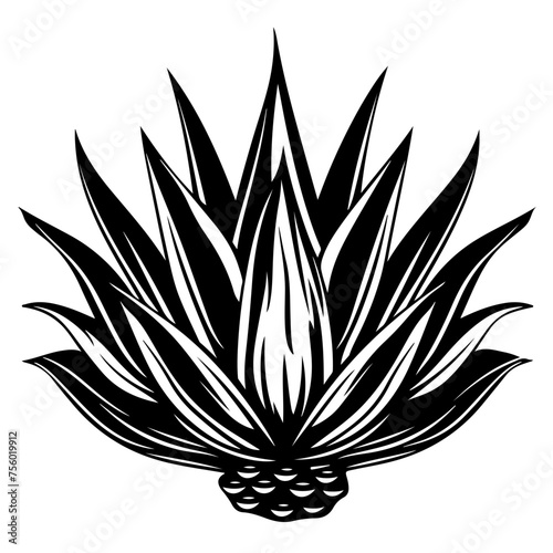 Agave Plant Vector Logo photo