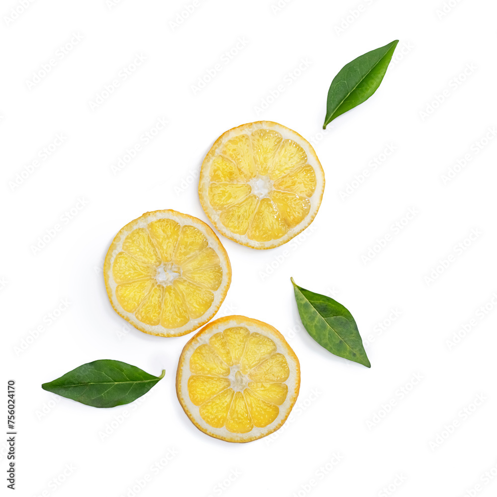 fresh various orange slices isolated on white fresh various orange slices isolated on white