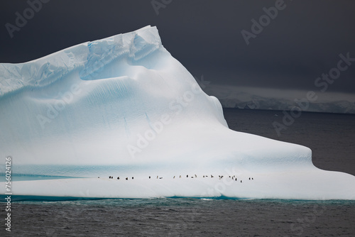 colony of chinstrap penguins resting on antarctic iceberg in polar regions