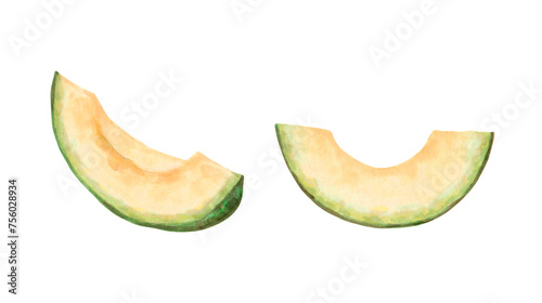 Avocado fruit slices.Watercolor and marker illustration.Hand drawn isolated on white background art.Botanical vegetable sketch for food packaging design or recipes.Cook book,kitchen print.