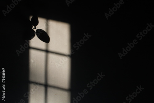 Window Shadow © Avery