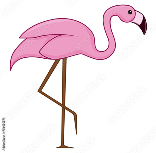 Flamingo