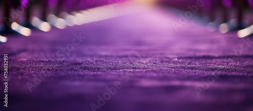 Close-up of purple carpet with focus/bright