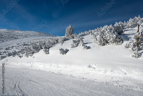 Winter Landscape of Rila mountain near Musala peak, Bulgaria photo