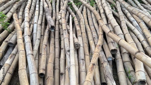 Bamboo poles on the ground