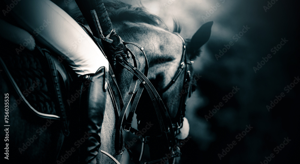 Obraz premium A black and white photograph of a rider on horseback. Equestrian sports and riding horses.