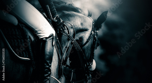 A black and white photograph of a rider on horseback. Equestrian sports and riding horses.