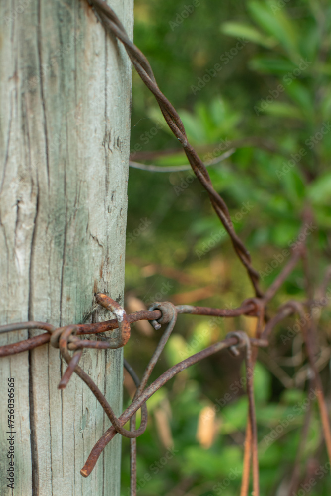 Rusty barbed wire wrapped around a wooden pole making a fence. Rusty barbed wire wrapped around a wooden pole making a fence.