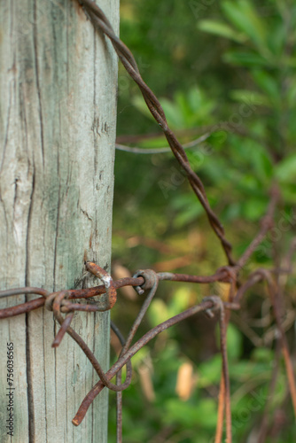 Rusty barbed wire wrapped around a wooden pole making a fence.  (ID: 756036565)