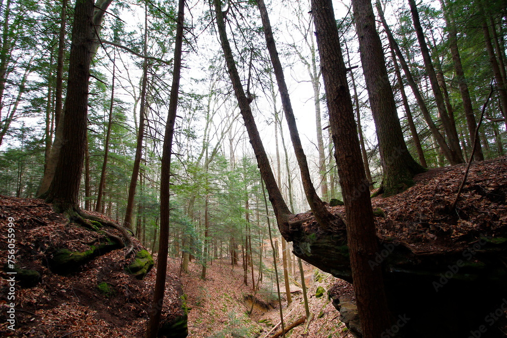 Obraz premium Whispering Cave, Hocking Hills State Park, Ohio