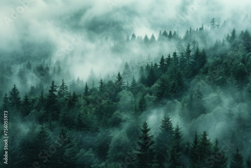 Dense forest with numerous trees enveloped in thick fog  creating a mysterious and ethereal atmosphere.630171dd-2ef8-4a9a-9b9b-47611d9ff98b