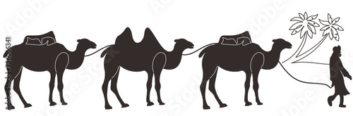 Camel caravan silhouette. Vector illustration isolated on white background