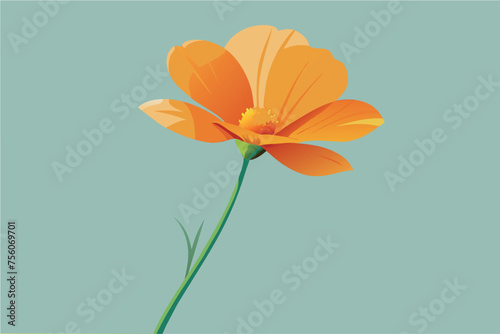 Fototapeta Naklejka Na Ścianę i Meble -  orange flower isolated on white background