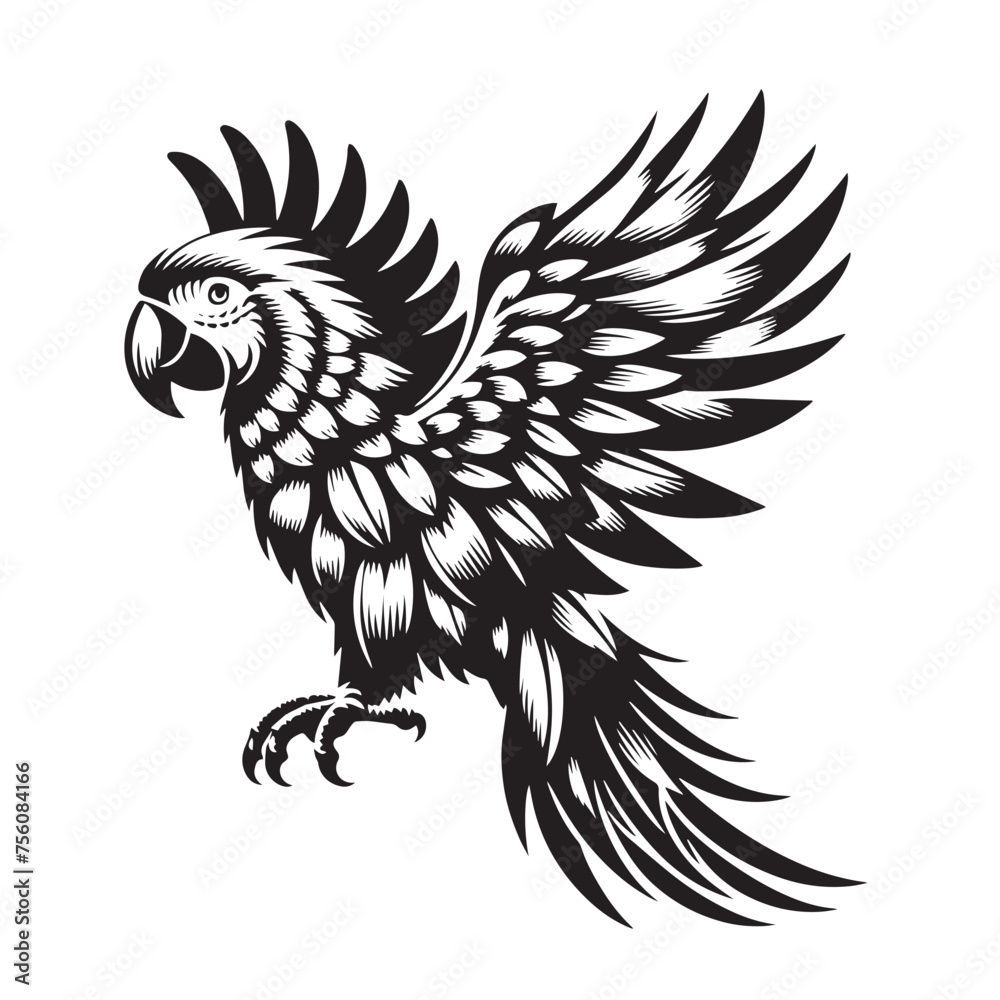 Fototapeta premium Parrot silhouette images , Parrot silhouette svg , Parrot silhouette tattoo , Parrot silhouette png 