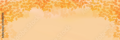 紅葉　葉　秋　背景	