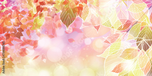 紅葉　葉　秋　背景	