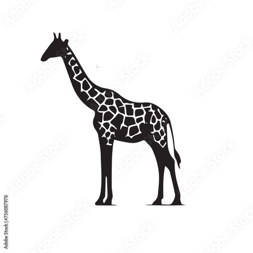 Fototapeta Naklejka Na Ścianę i Meble -  giraffe silhouette png,giraffe silhouettesvg,giraffe silhouette clipart,giraffe silhouette outline