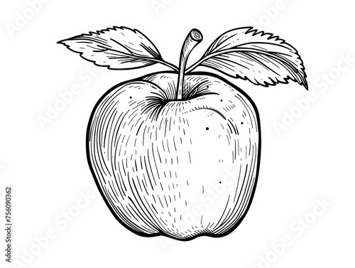 art drawing of an apple on a white background, black lines on white background
