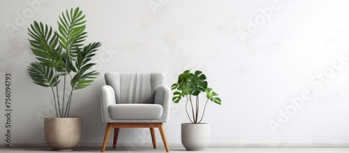 Armchair and plants against a white wall.