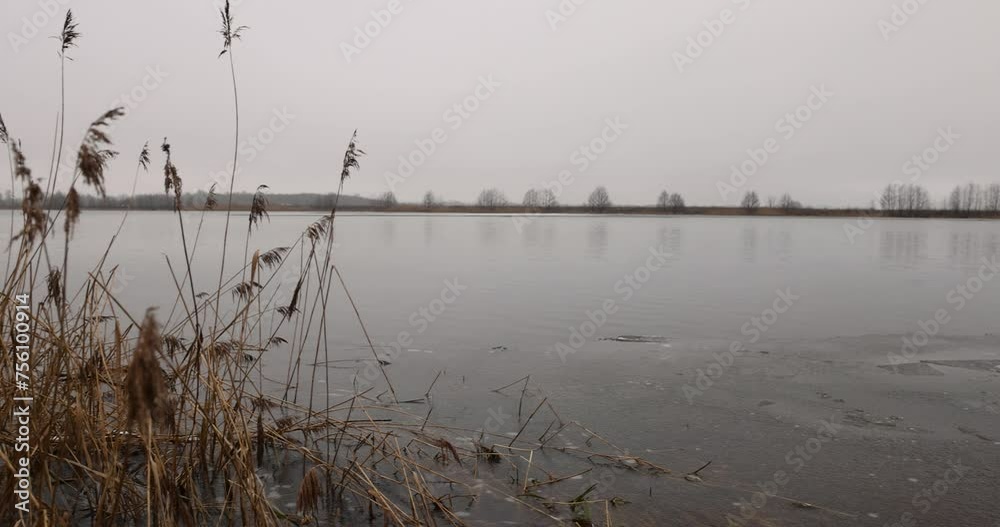 frozen lake in winter in cloudy weather, ice on the lake during frosts