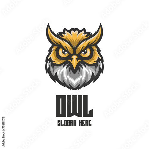 Illustration Owl Mascot Logo Illustration