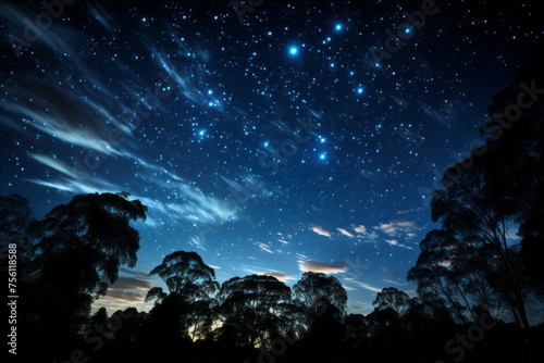 A natural landscape with a starfilled sky and trees in the foreground