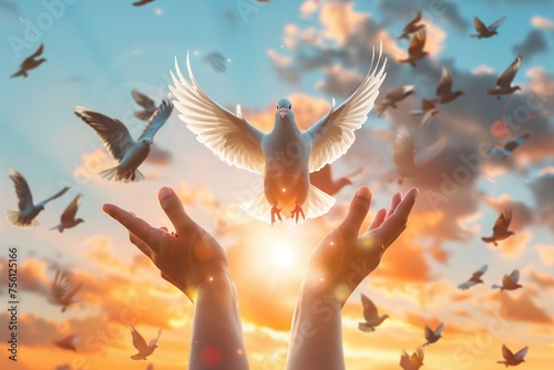 Hands Releasing Dove at Golden Sunset photo