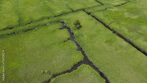 Fényképezés History Ricefield remains cultivated by black african slave labor on Southern Pl