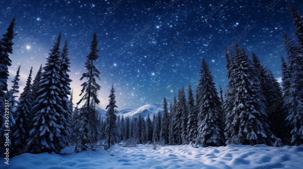 Snow forest and star sky