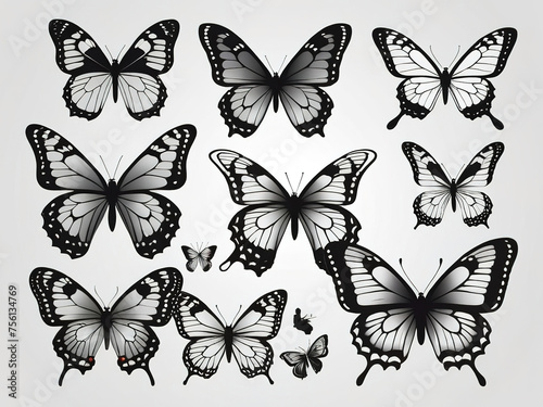 Butterflies collection isolated on white background. Vector Illustration. © Thachakrit