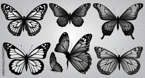 Butterflies set. Black and white butterflies. Vector illustration.