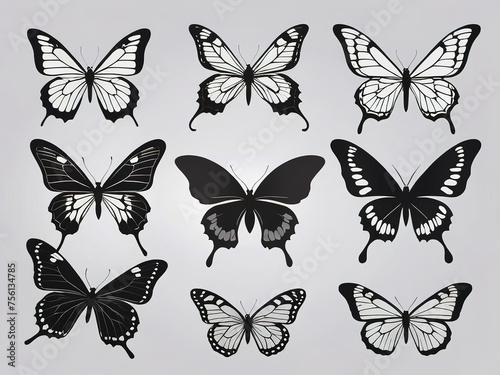 butterflies design over gray background vector illustration EPS10.