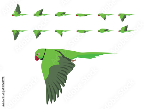 Canvas-taulu Bird Parrot Indian Ringneck Parakeet Flying Animation Sequence Cartoon Vector