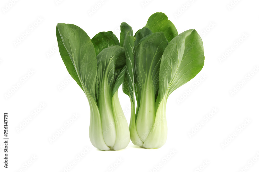 Brassica rapa chinensis, called bok choy isolated on white Brassica rapa chinensis, called bok choy isolated on white