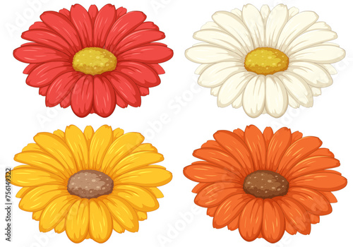 Four vibrant daisies with different colors illustrated.
