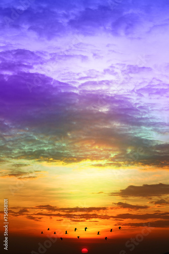 sunset colorful purple blue yelllow orange sky and dark cloud and sun lower flame with silhouette bird