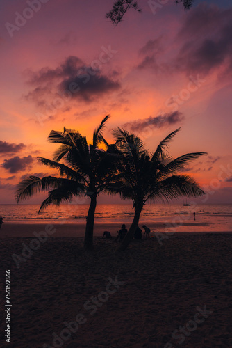 Tropical beach Sunset,Palm trees on sandy island in the ocean