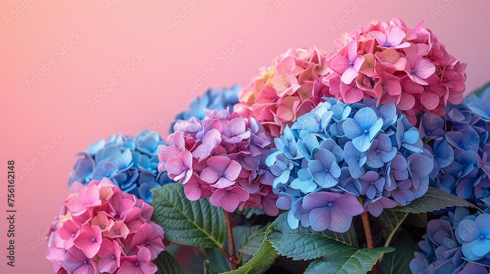 Fototapeta premium AI art, hydrangea background 紫陽花の背景